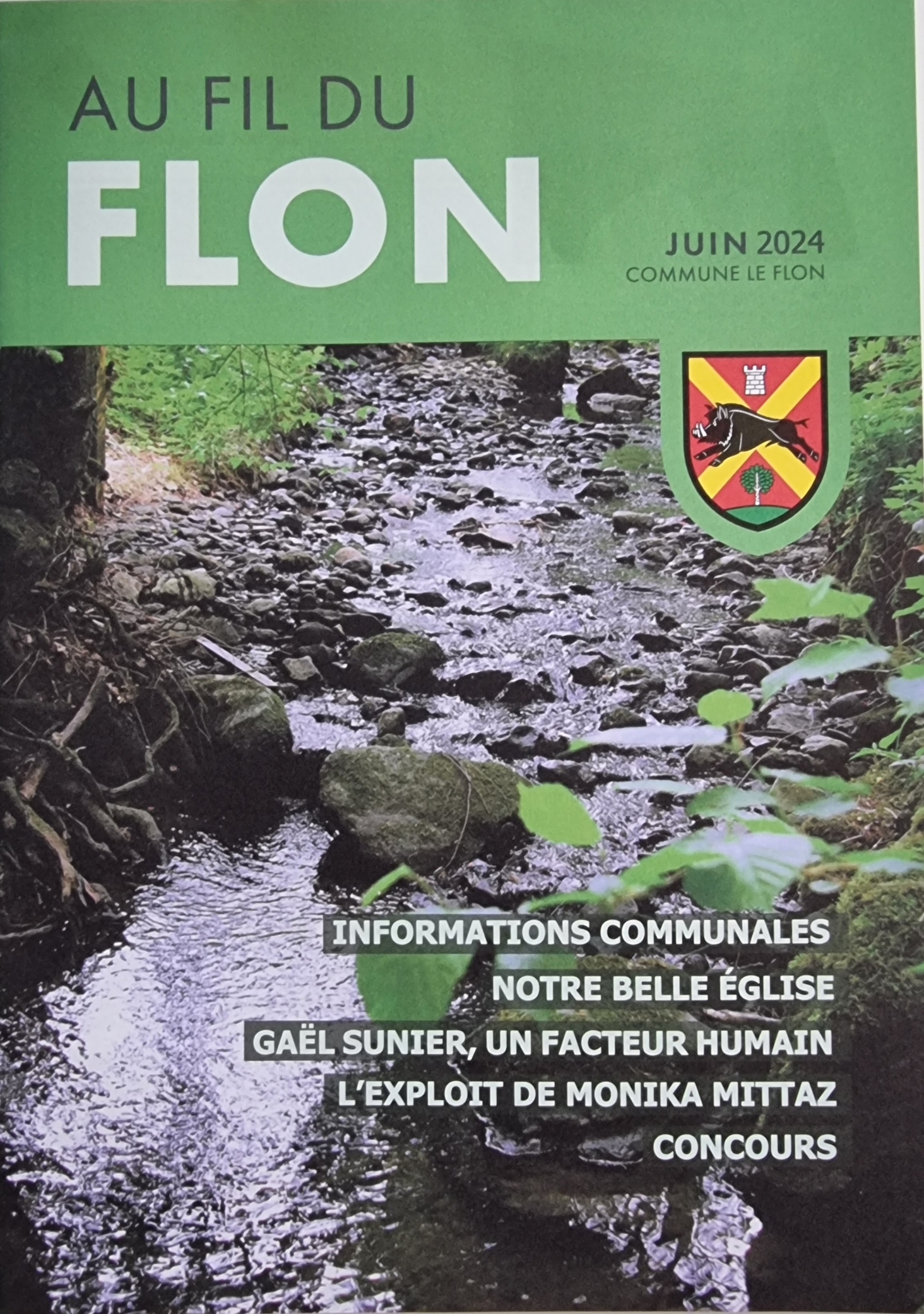 Article journal communal Le Flon